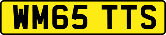WM65TTS