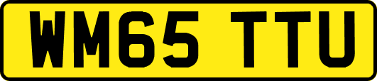 WM65TTU