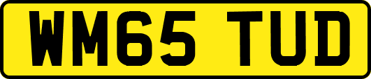 WM65TUD