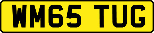 WM65TUG