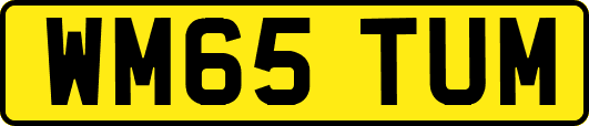 WM65TUM