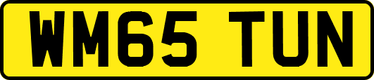 WM65TUN
