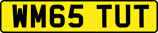 WM65TUT