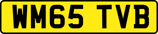 WM65TVB