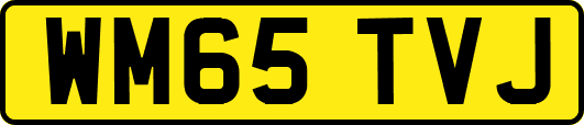 WM65TVJ