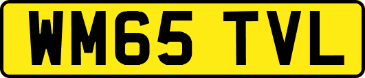 WM65TVL
