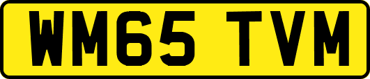 WM65TVM