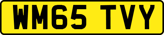 WM65TVY