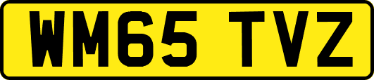 WM65TVZ