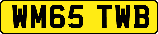 WM65TWB