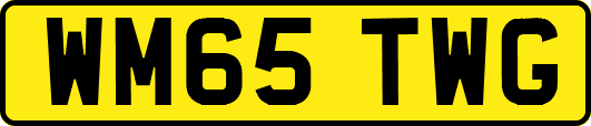 WM65TWG