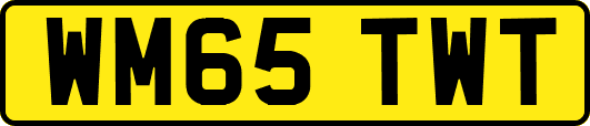 WM65TWT