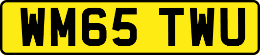 WM65TWU