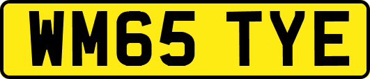 WM65TYE