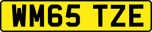 WM65TZE