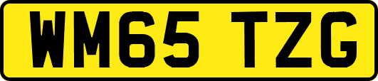 WM65TZG