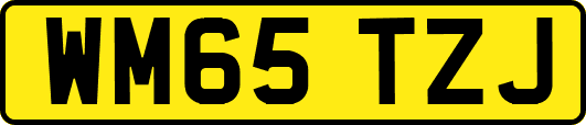 WM65TZJ