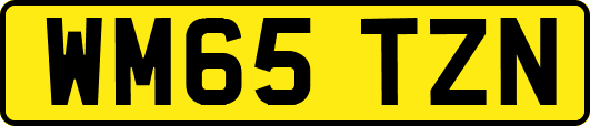 WM65TZN