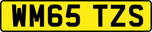 WM65TZS