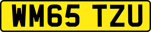 WM65TZU