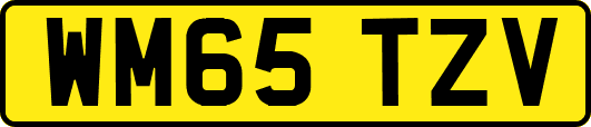 WM65TZV