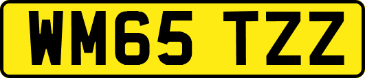WM65TZZ