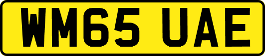 WM65UAE