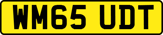 WM65UDT