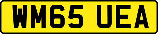 WM65UEA