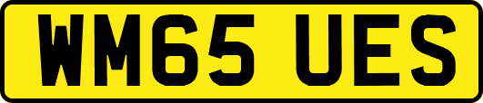 WM65UES