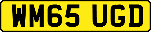 WM65UGD