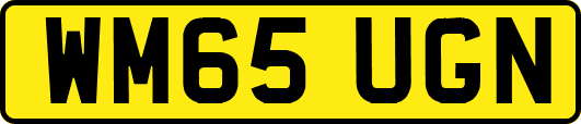 WM65UGN