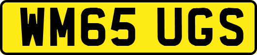 WM65UGS