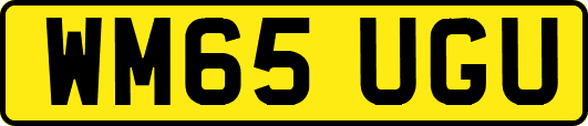 WM65UGU