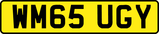 WM65UGY