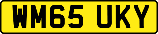WM65UKY
