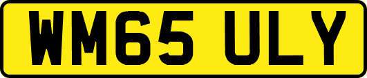 WM65ULY