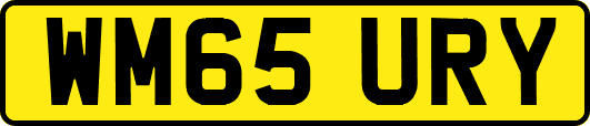 WM65URY