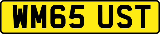WM65UST