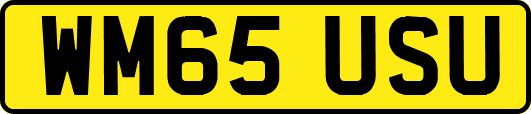 WM65USU