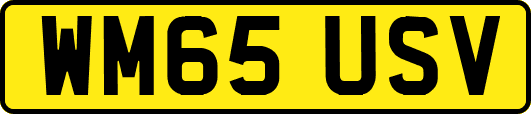 WM65USV