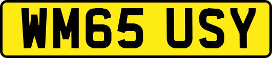 WM65USY