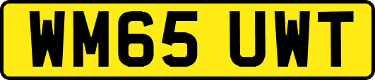 WM65UWT