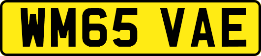 WM65VAE
