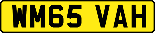 WM65VAH