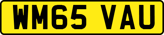 WM65VAU