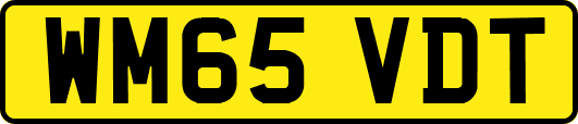 WM65VDT