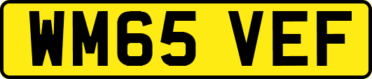 WM65VEF