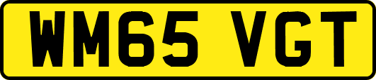 WM65VGT