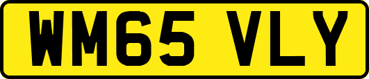 WM65VLY
